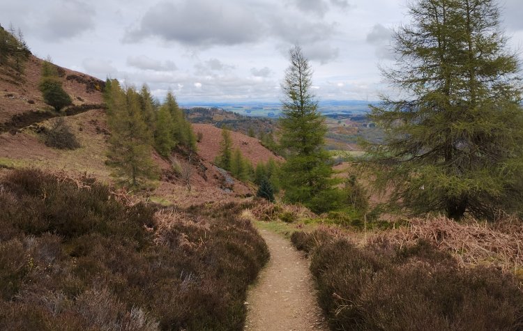 Birnam - Path from Birnam hill Path from Birnam hill