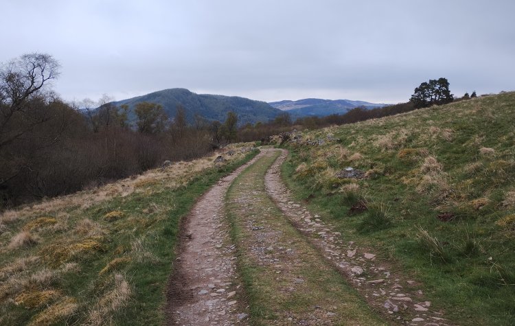 Birnam - Track near Torchuaig Hill Track near Torchuaig Hill