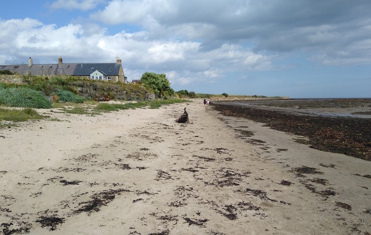 Boulmer - The Northumberland coast The Northumberland coast