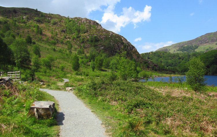 Path around Llyn Dinas