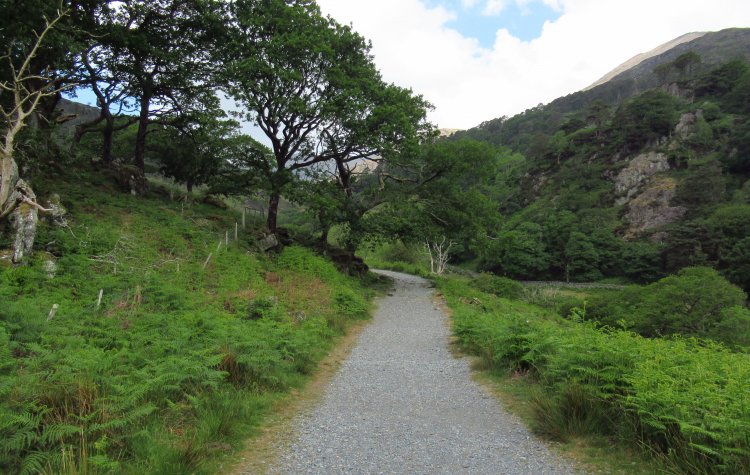 The Watkin path
