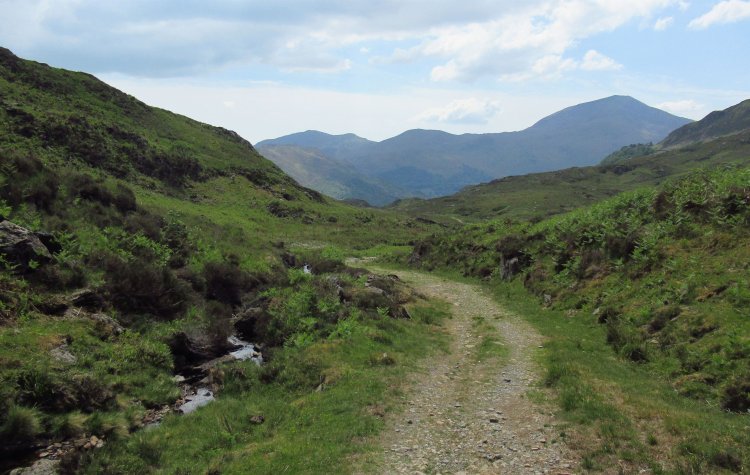 Track across the fells