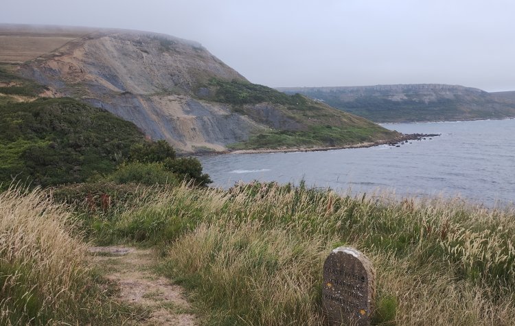 Kingston to Lulworth Cove - View of the cliff near Egmont Point View of the cliff near Egmont Point