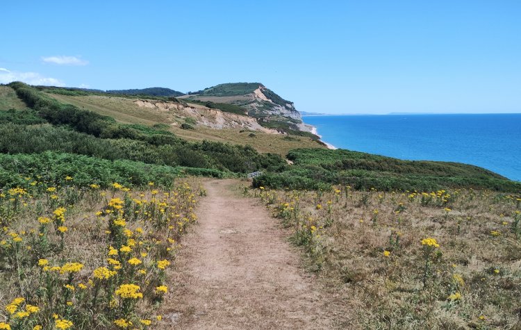 Track heading towards Golden Cap
