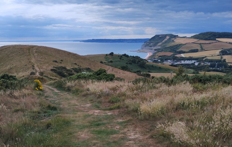 View from Doghouse hill