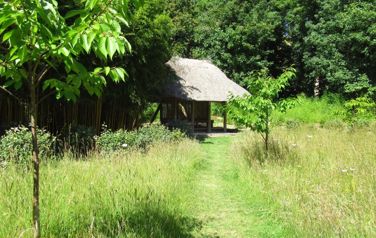 Kingston Lacy - Thatched shelter in Kingston Lacy Estate gardens Thatched shelter in Kingston Lacy Estate gardens