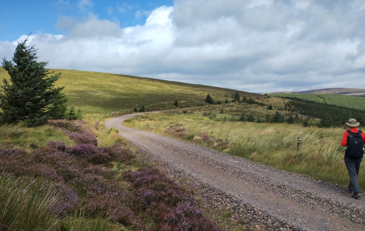 Alwinton - Clennell Street track near Saughy Hill Clennell Street track near Saughy Hill