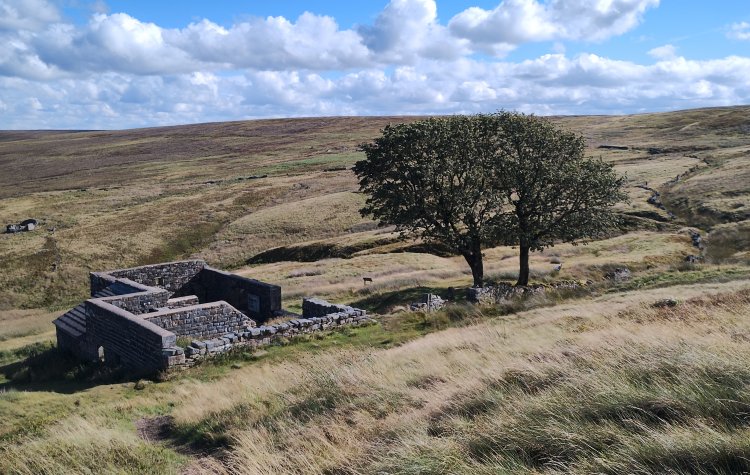 Haworth - Withins ruin Withins ruin