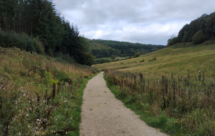 Thornton-le-Dale - Seive dale path Seive dale path