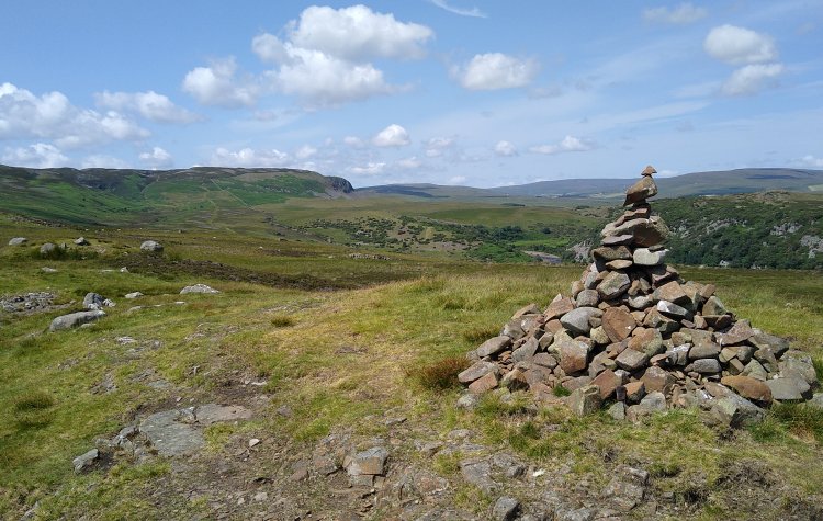 Bowlees - View across Upper Teesdale Nature Reserve View across Upper Teesdale Nature Reserve