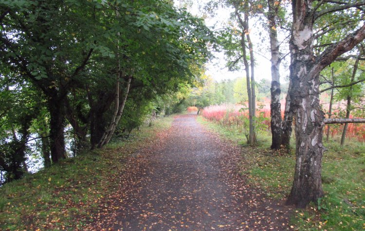  The Keelman way along the River Tyne