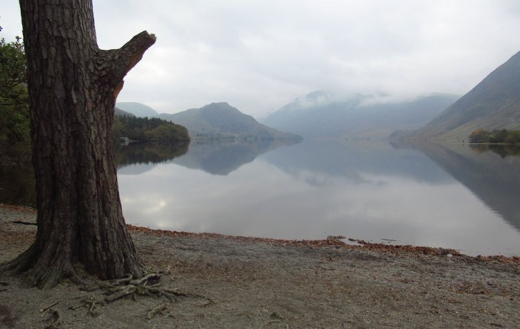 Mellbreak - View over Crummock water from Lanthwaite wood View over Crummock water from Lanthwaite wood