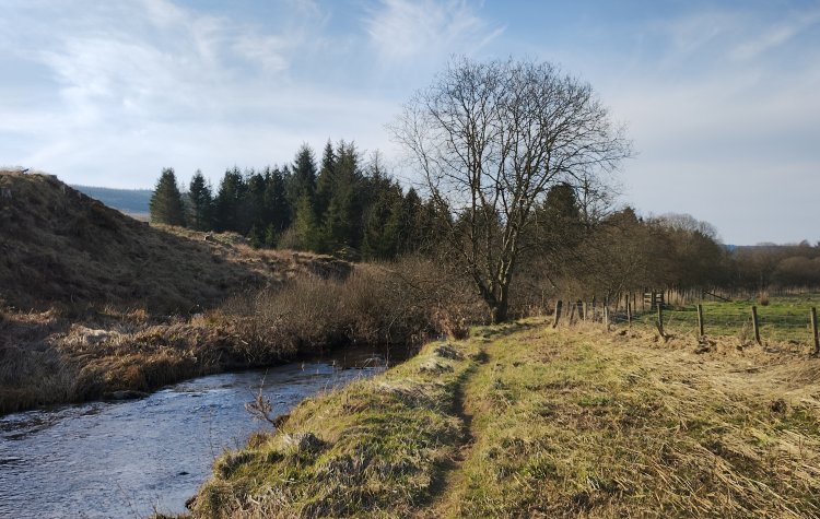 Path along the River Rede