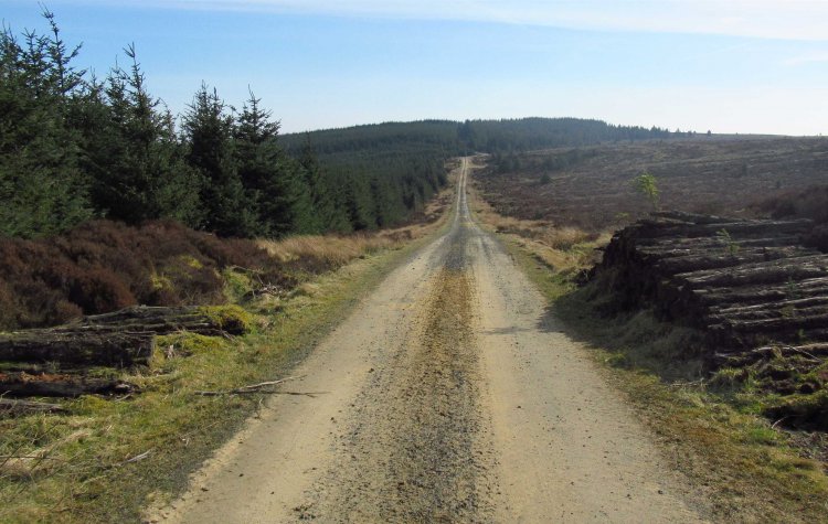 View from track near loaf hill