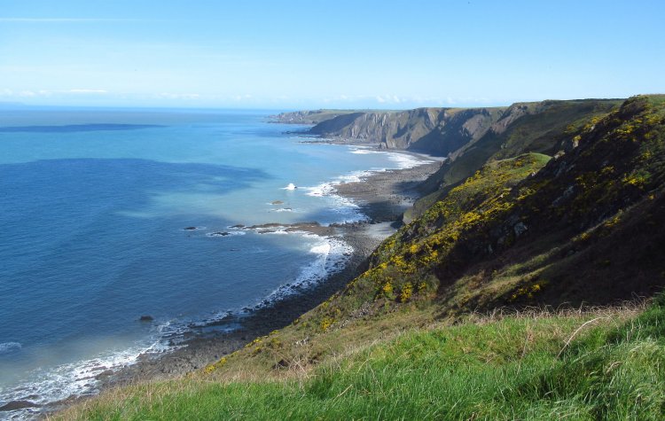 Hartland to Morwenstow - View of the cliffs View of the cliffs