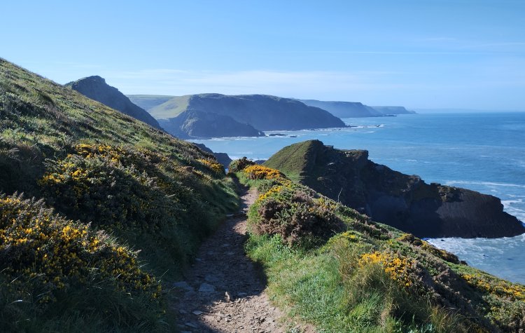 Hartland to Morwenstow - Path along the coast near Hartland Quay Path along the coast near Hartland Quay