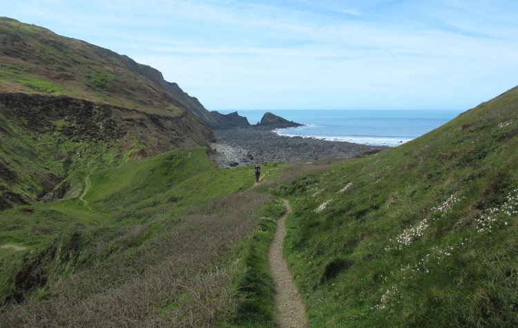 Hartland to Morwenstow - Path down to Marsland Mouth Path down to Marsland Mouth