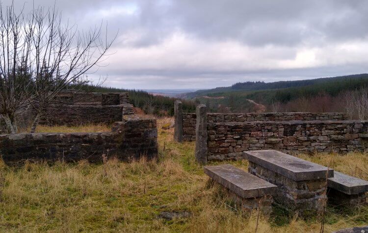 Neighbour Moor House in Hamsterley Forest