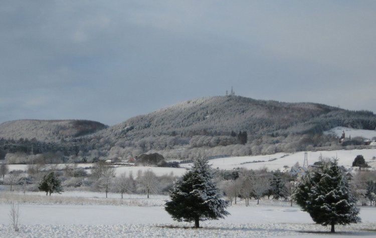 View of Dunain Hill