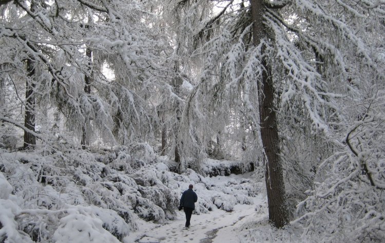 Walking along the Great Glen Way in the snow