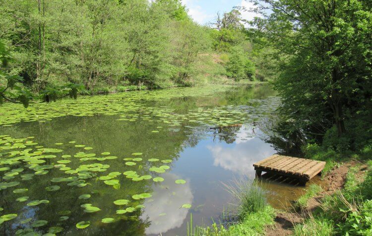 Calke Abbey - Mere pond Mere pond