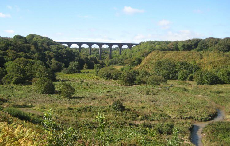 Castle Eden Dene - View of Denemouth Viaduct from the Durham Coastal path. View of Denemouth Viaduct from the Durham Coastal path.