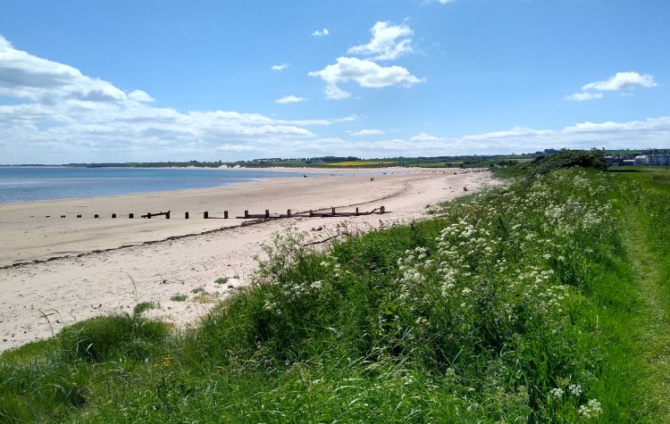 Alnmouth bay
