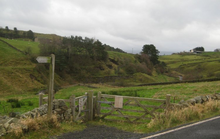 Haltwhistle Burn view from the Military road