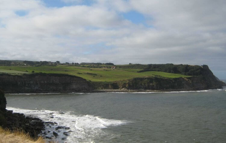 View looking towards Ravenscar