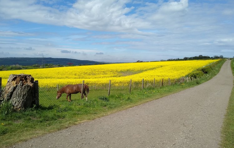 Farm Track
