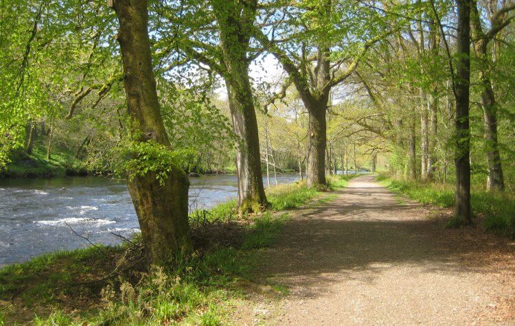 Crieff - Path along the River Earn Path along the River Earn