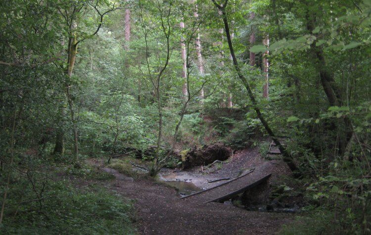 Thornley Woods