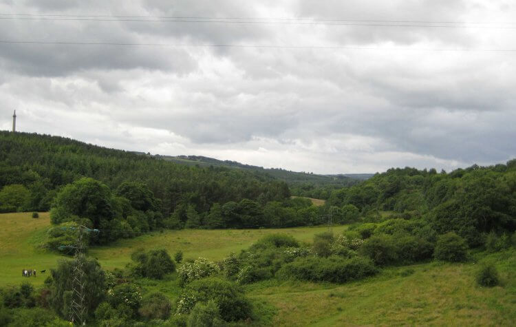 View from the viaduct
