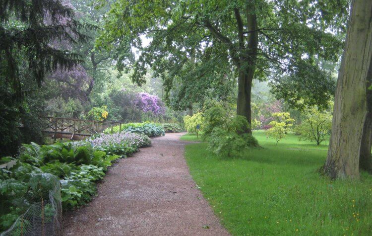 Dunham Massey - Path through the trees at Dunham Massey Path through the trees at Dunham Massey