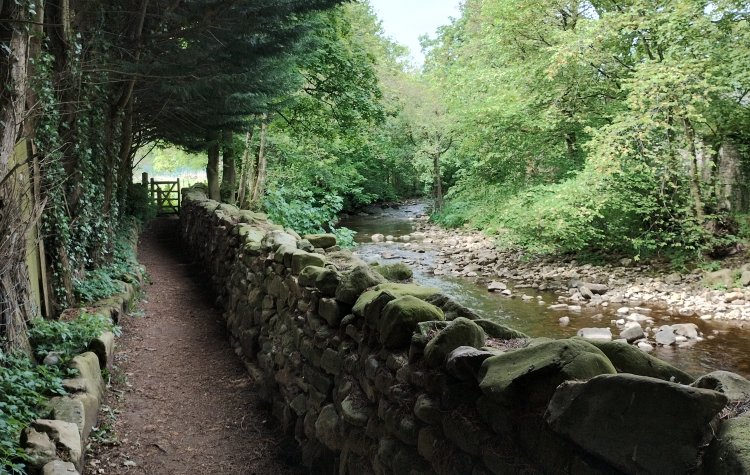 Arkle Beck