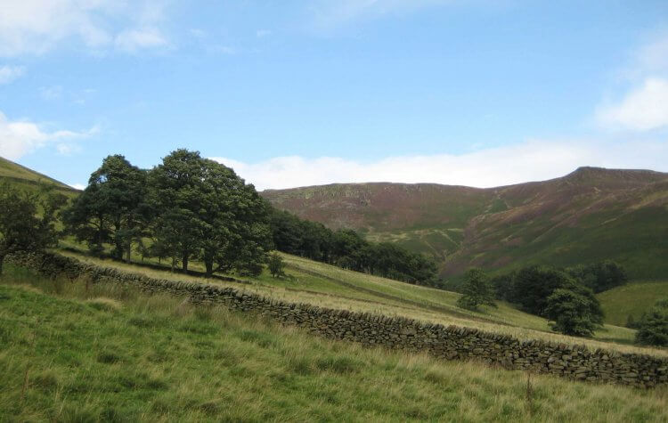 View up Grinds Brook to upper tor
