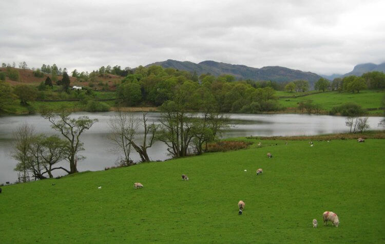 Loughrigg Tarn
